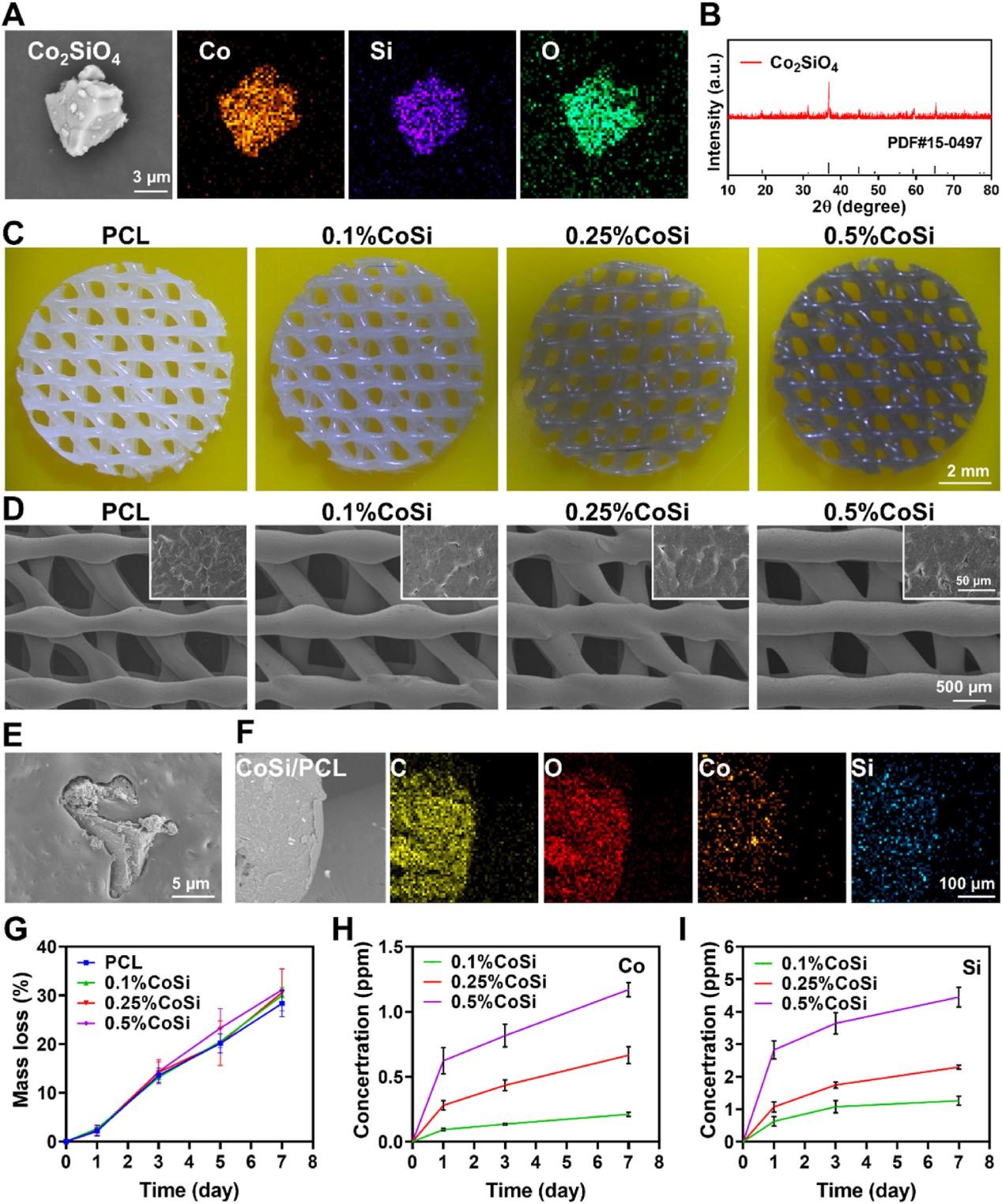 聯(lián)合發(fā)表具有NIR-II光熱能力和增強(qiáng)成脂活性的3D打印CoSi/PCL復(fù)合支架用于乳房切除術(shù)后的乳房重建