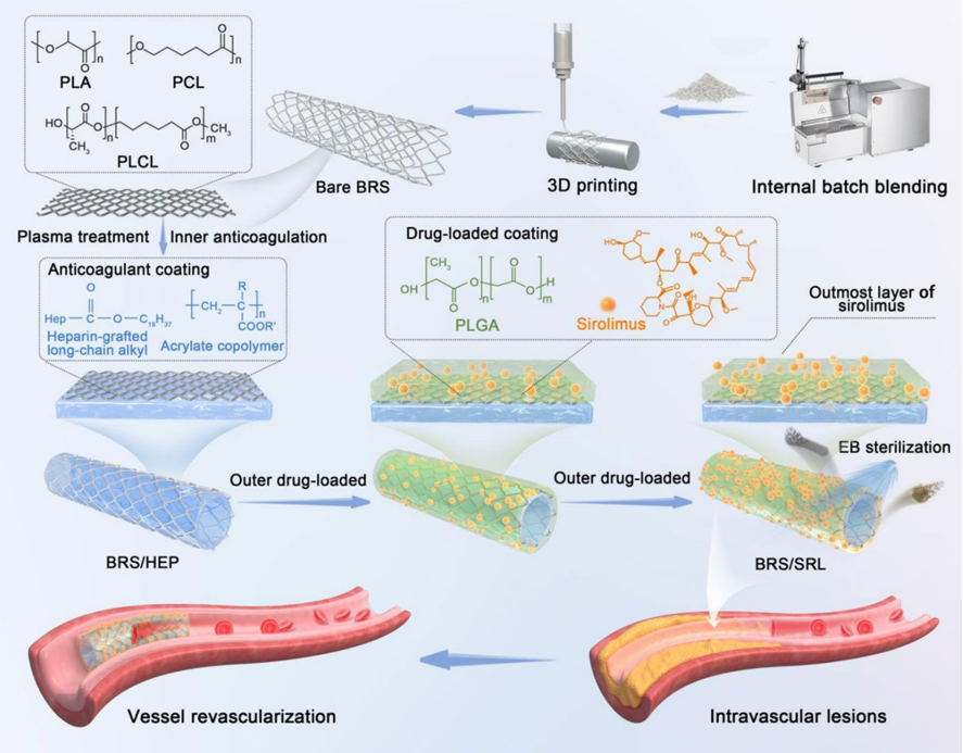 鄭大附屬第一醫(yī)院&河南駝人集團(tuán)共同發(fā)表“雙功能表面設(shè)計(jì)對(duì)3D打印成型生物可吸收支架性能的影響”